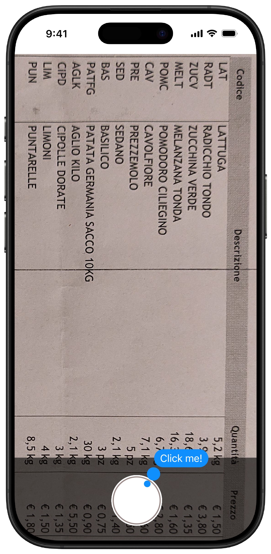Prototype 1
